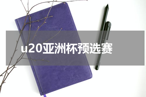 u20亚洲杯预选赛