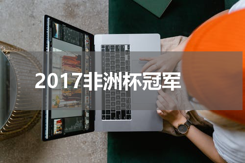 2017非洲杯冠军