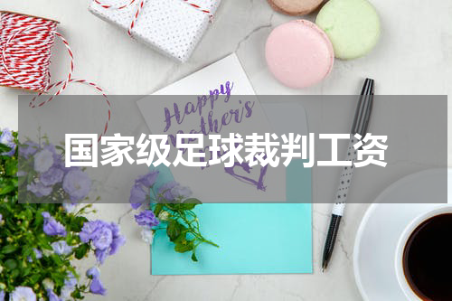 国家级足球裁判工资