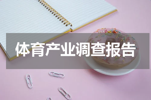 体育产业调查报告