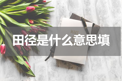 田径是什么意思填