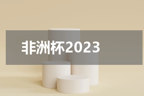 非洲杯2023