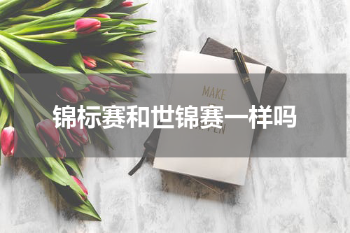 锦标赛和世锦赛一样吗