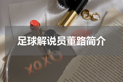 足球解说员董路简介