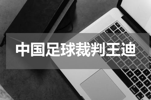 中国足球裁判王迪