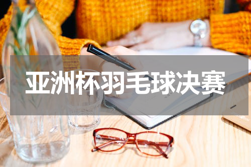 亚洲杯羽毛球决赛