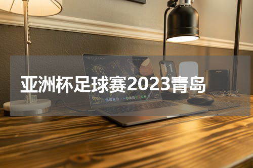 亚洲杯足球赛2023青岛