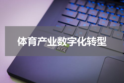 体育产业数字化转型