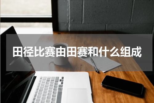 田径比赛由田赛和什么组成