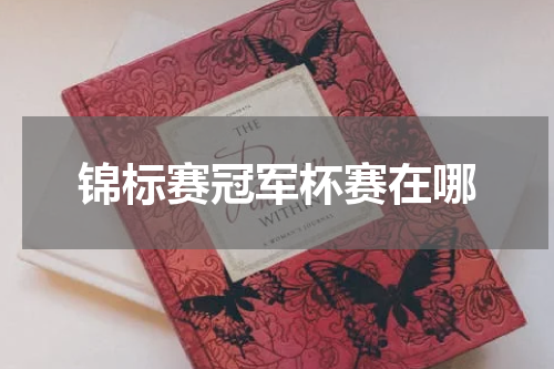 锦标赛冠军杯赛在哪