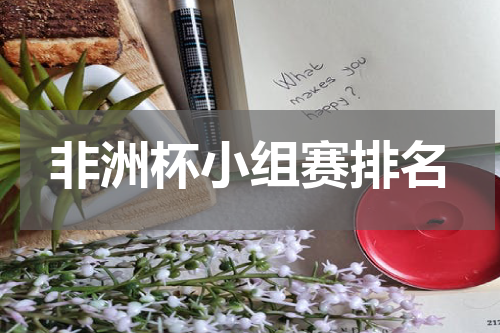 非洲杯小组赛排名