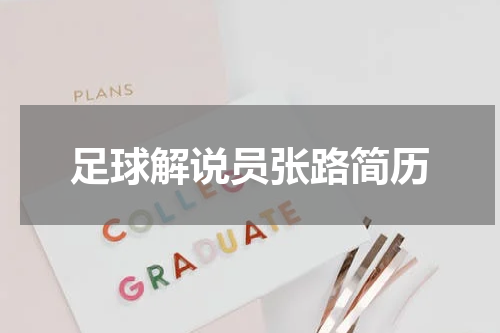 足球解说员张路简历