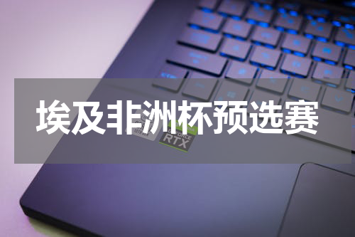 埃及非洲杯预选赛