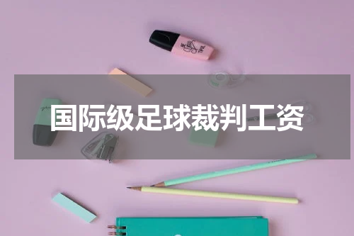 国际级足球裁判工资