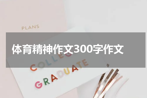 体育精神作文300字作文