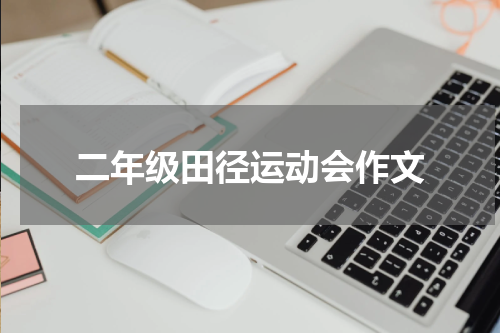 二年级田径运动会作文