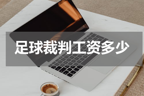 足球裁判工资多少