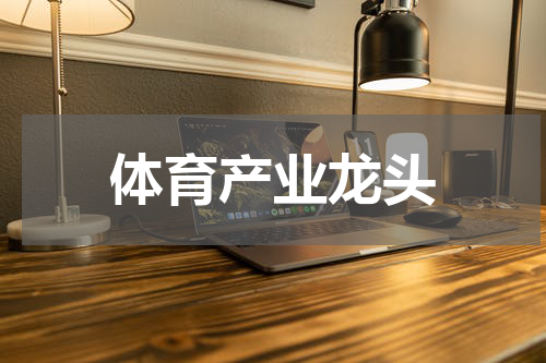 体育产业龙头