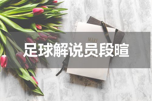 足球解说员段暄