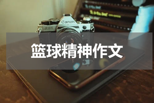 篮球精神作文