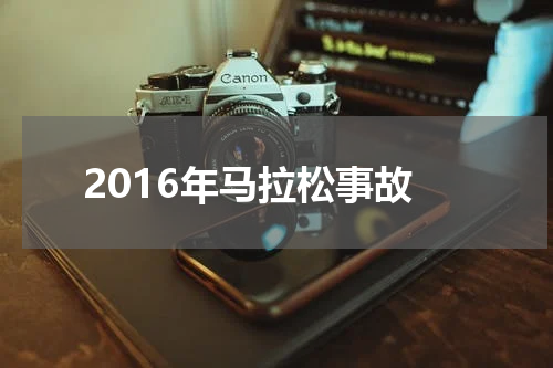 2016年马拉松事故