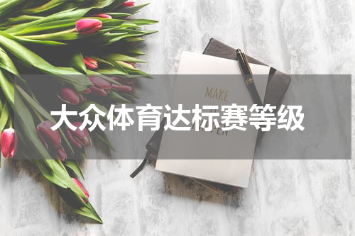 大众体育达标赛等级