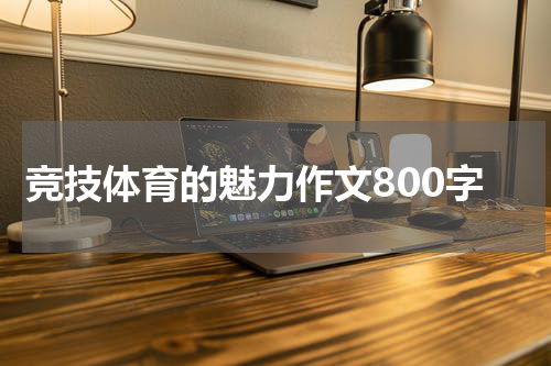 竞技体育的魅力作文800字
