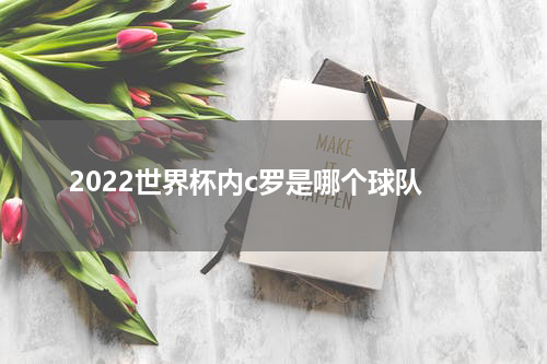 2022世界杯内c罗是哪个球队