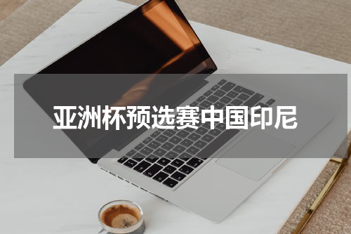 亚洲杯预选赛中国印尼