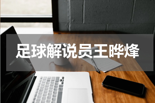 足球解说员王晔烽