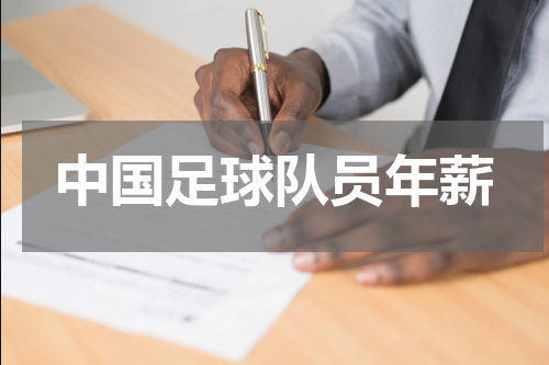 中国足球队员年薪