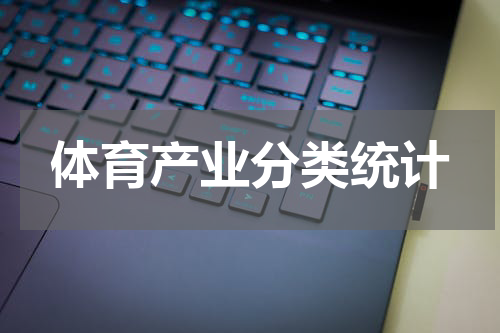 体育产业分类统计