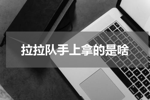 拉拉队手上拿的是啥