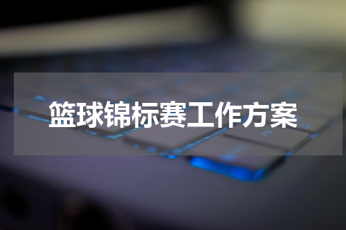 篮球锦标赛工作方案