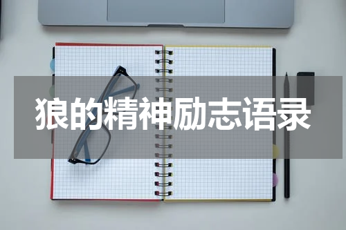 狼的精神励志语录