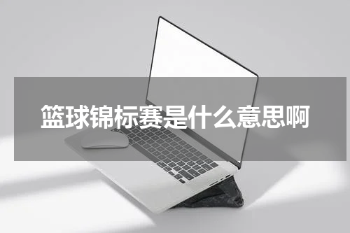 篮球锦标赛是什么意思啊