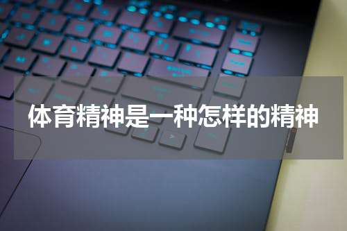 体育精神是一种怎样的精神