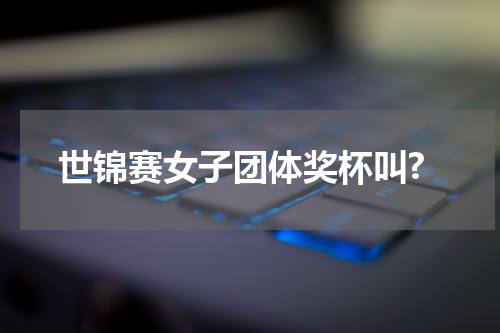 世锦赛女子团体奖杯叫?