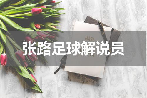 张路足球解说员
