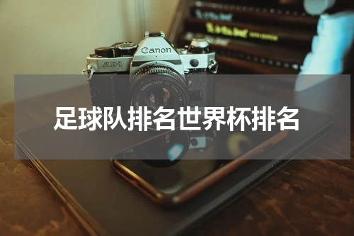 足球队排名世界杯排名
