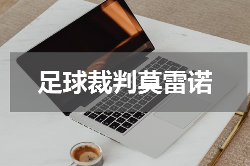 足球裁判莫雷诺