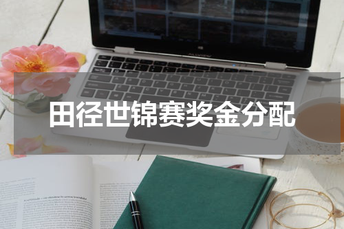 田径世锦赛奖金分配