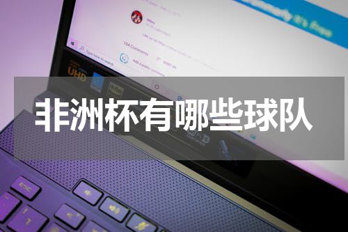 非洲杯有哪些球队