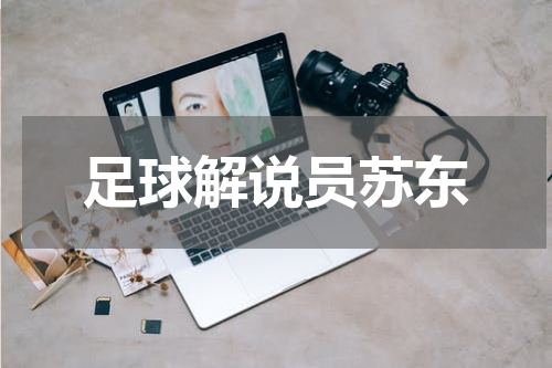 足球解说员苏东