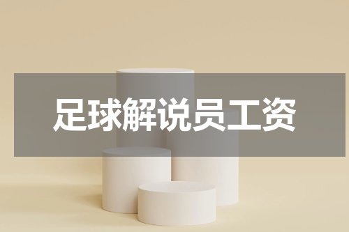 足球解说员工资