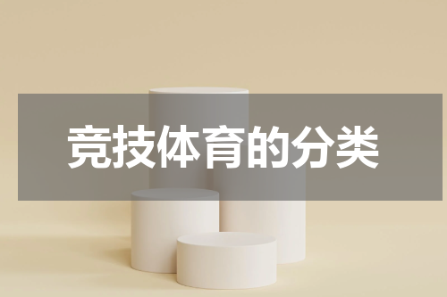 竞技体育的分类