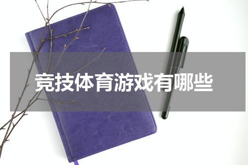 竞技体育游戏有哪些