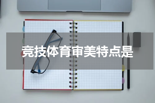 竞技体育审美特点是