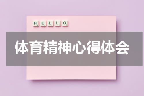 体育精神心得体会