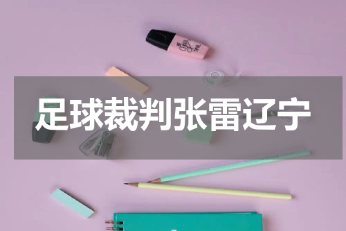 足球裁判张雷辽宁